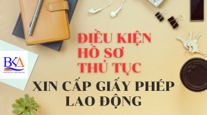 Xin cấp giấy phép lao động