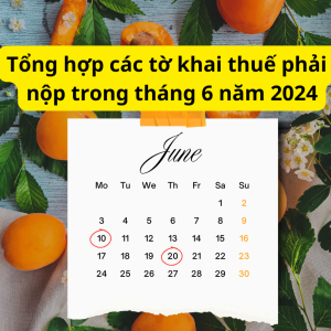 Tổng hợp các tờ khai thuế phải nộp trong tháng 6 năm 2024