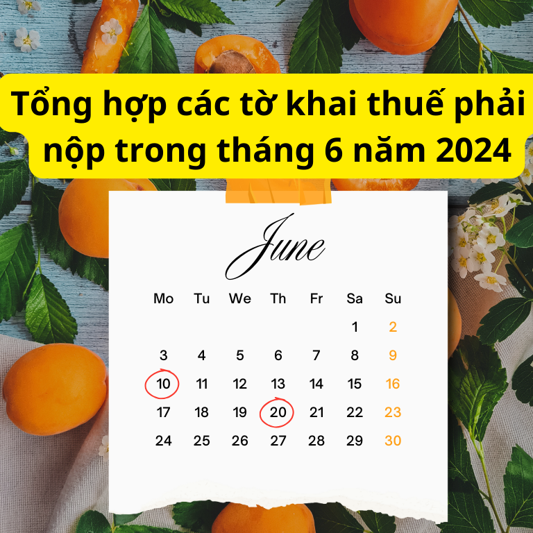 Tổng hợp các tờ khai thuế phải nộp trong tháng 6 năm 2024