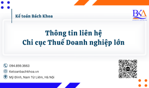 Chi cục Thuế Doanh nghiệp lớn