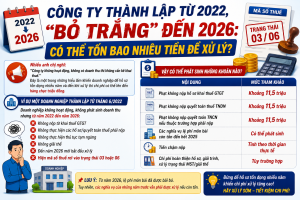 Công Ty Thành Lập Nhiều Năm "Bỏ Trắng" Không Hoạt Động: Xử Lý Có Thể Tốn Bao Nhiêu Tiền?